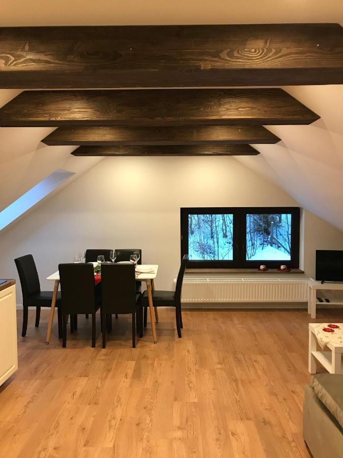 Apartamenty Goszowianka Stronie Śląskie Exteriér fotografie