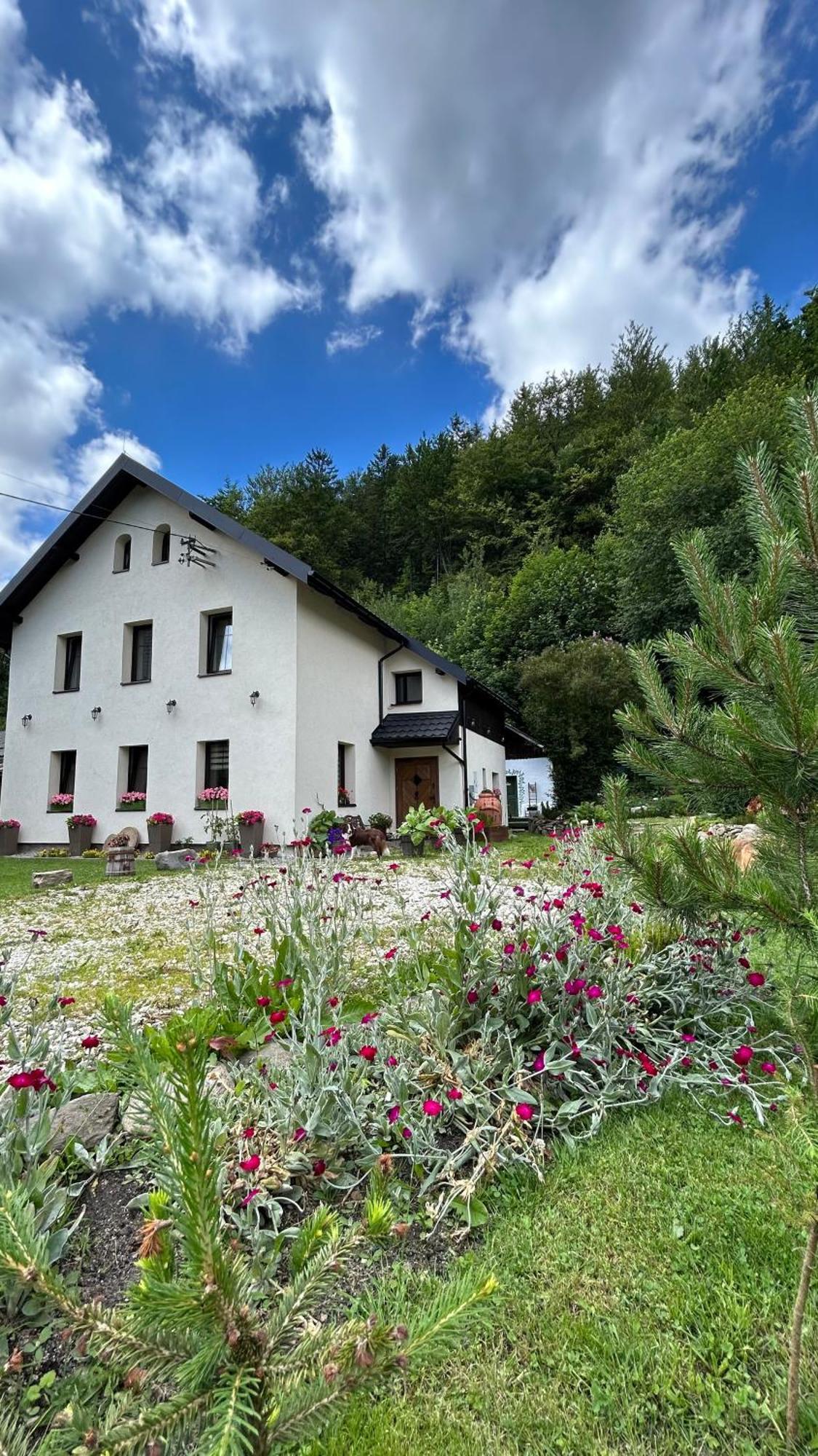 Apartamenty Goszowianka Stronie Śląskie Exteriér fotografie