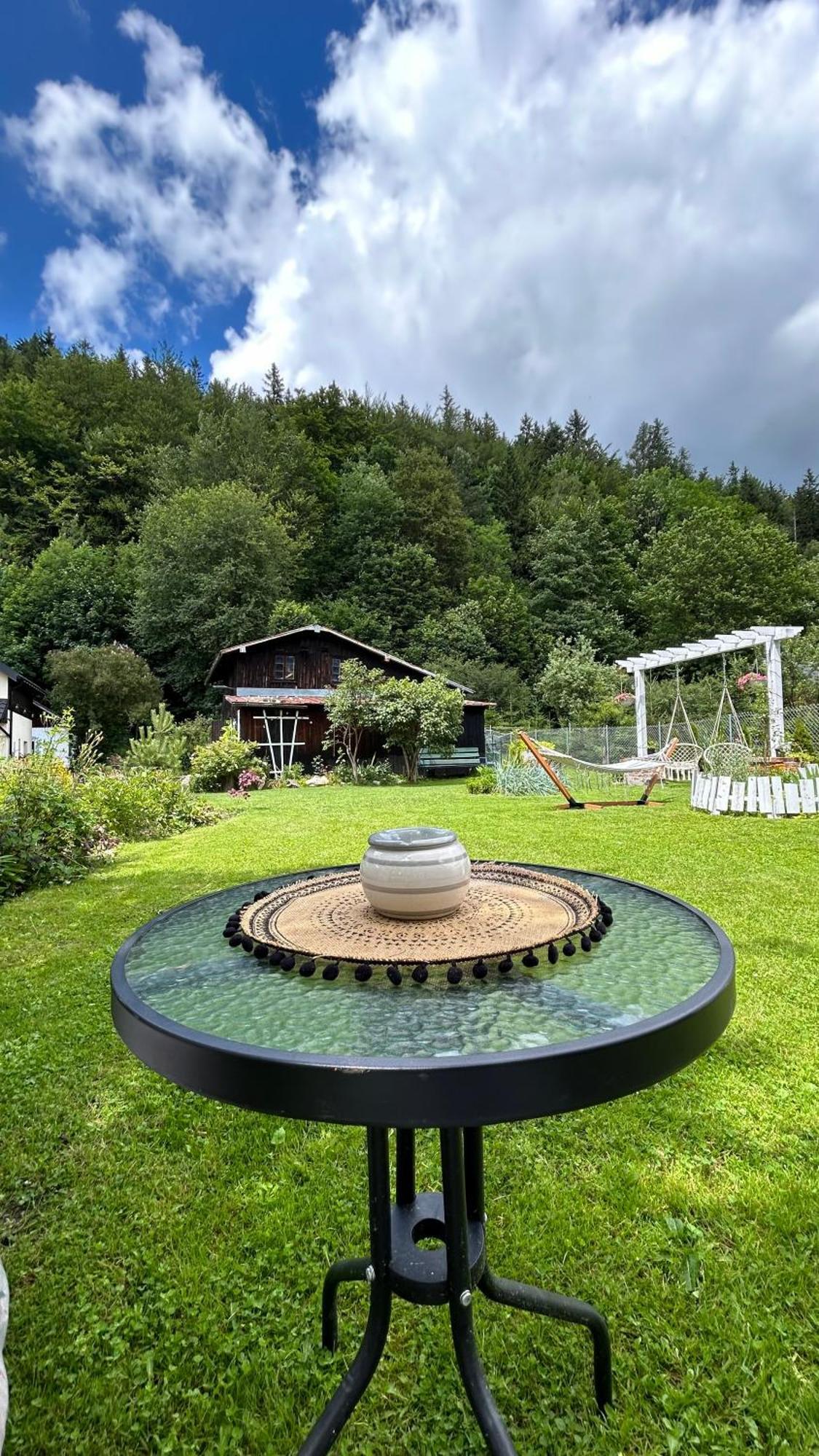 Apartamenty Goszowianka Stronie Śląskie Exteriér fotografie