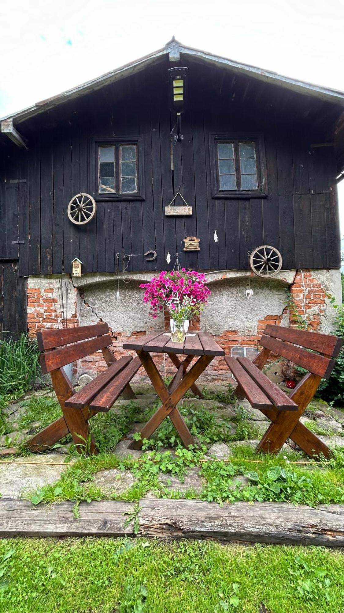 Apartamenty Goszowianka Stronie Śląskie Exteriér fotografie