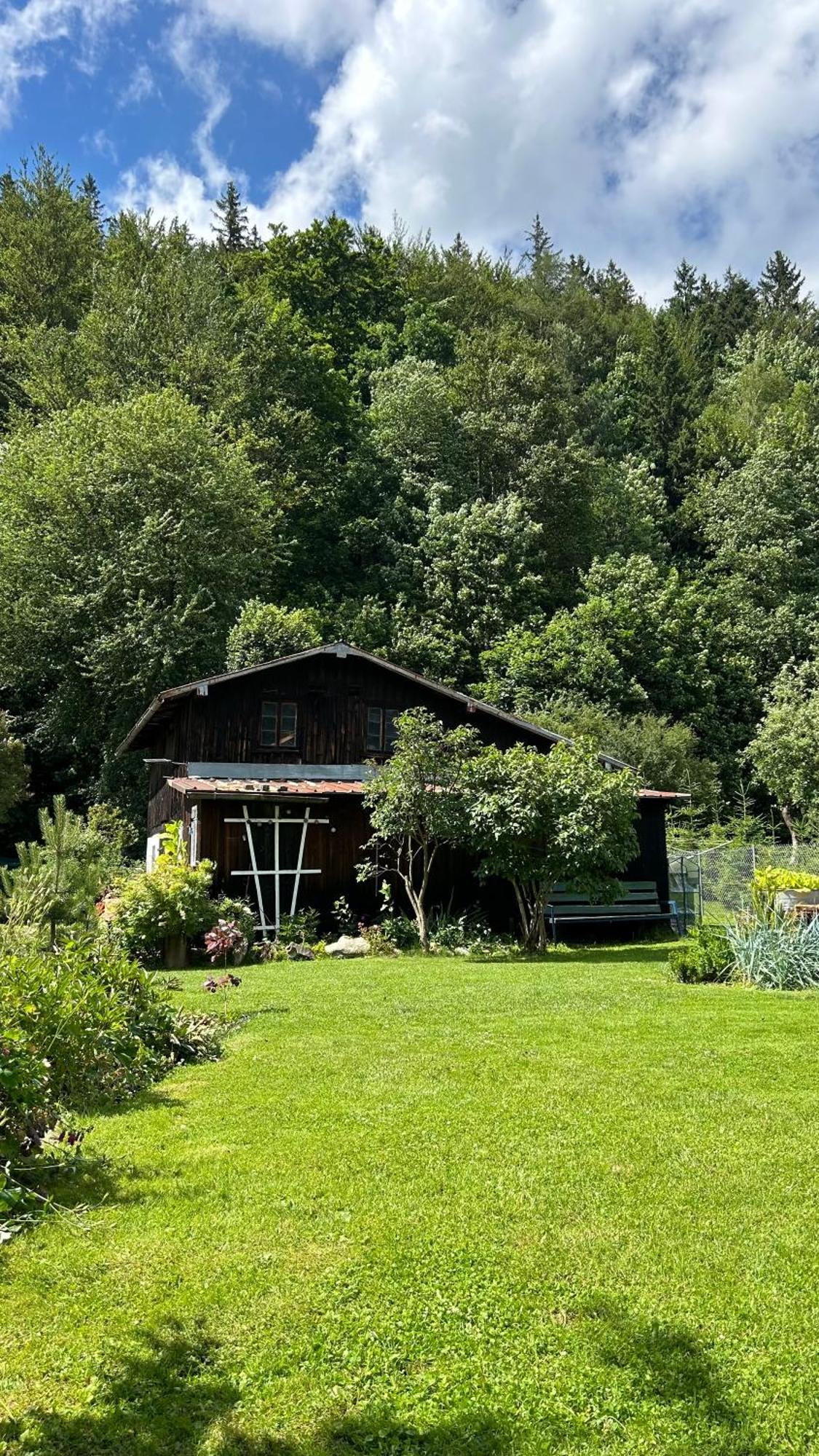 Apartamenty Goszowianka Stronie Śląskie Exteriér fotografie
