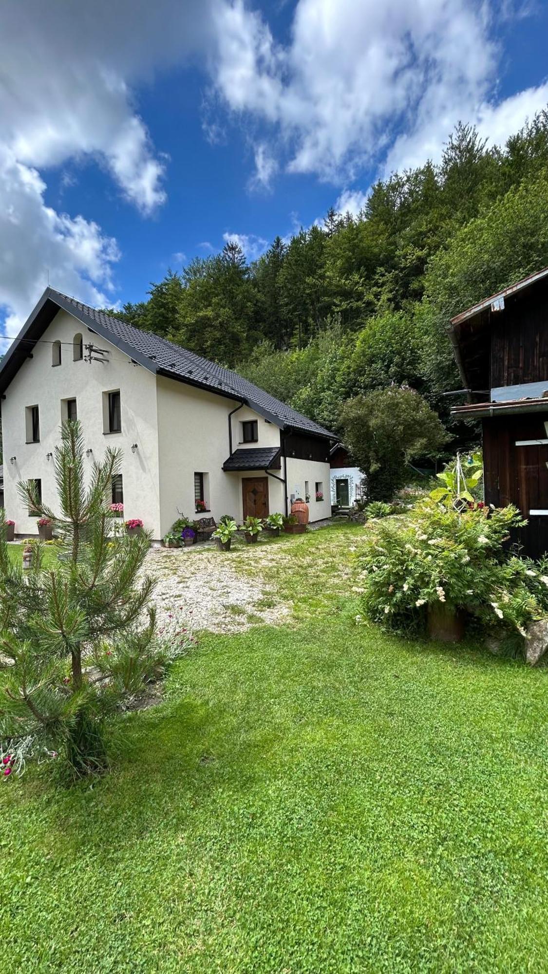 Apartamenty Goszowianka Stronie Śląskie Exteriér fotografie