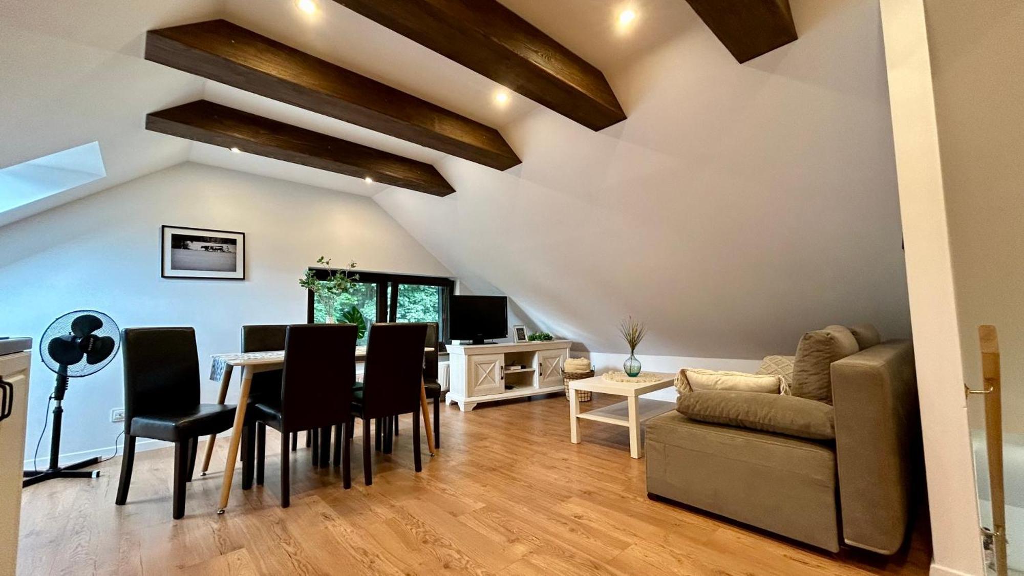 Apartamenty Goszowianka Stronie Śląskie Exteriér fotografie